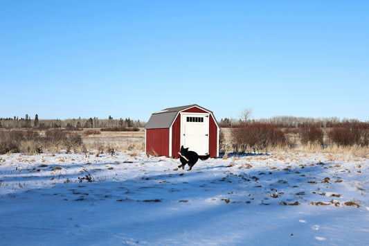 miniBarn - 8x12