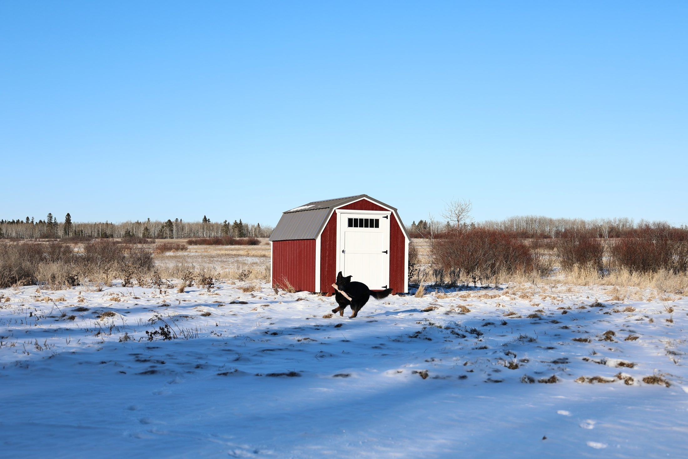 miniBarn - 8x12